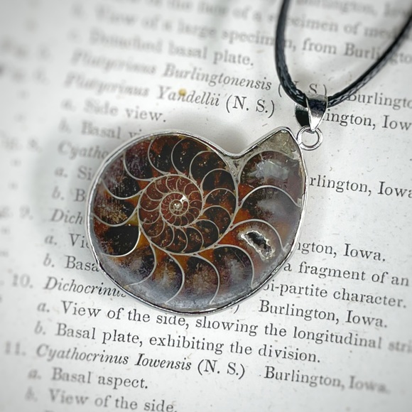 Ammonite Pendent Necklace - Picture 2 of 8